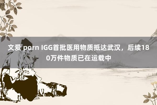 文爱 porn IGG首批医用物质抵达武汉，后续180万件物质已在运载中