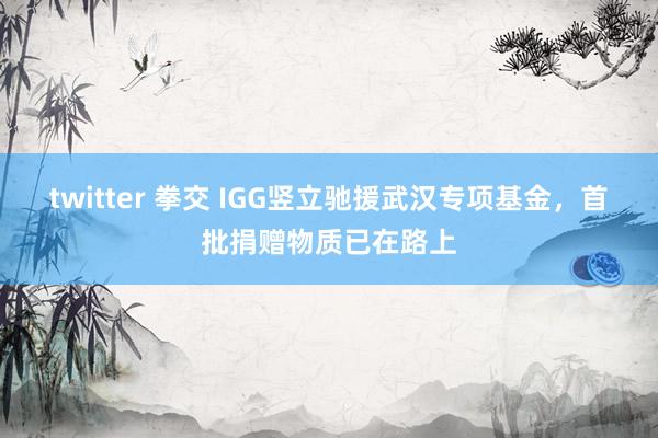 twitter 拳交 IGG竖立驰援武汉专项基金，首批捐赠物质已在路上