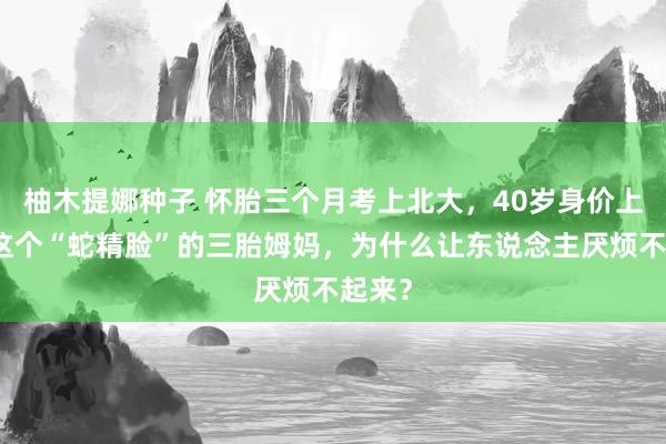 柚木提娜种子 怀胎三个月考上北大，40岁身价上亿：这个“蛇精脸”的三胎姆妈，为什么让东说念主厌烦不起来？