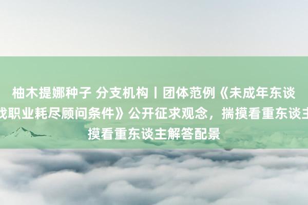 柚木提娜种子 分支机构丨团体范例《未成年东谈主网罗游戏职业耗尽顾问条件》公开征求观念，揣摸看重东谈主解答配景